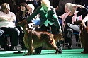 Crufts2011 783